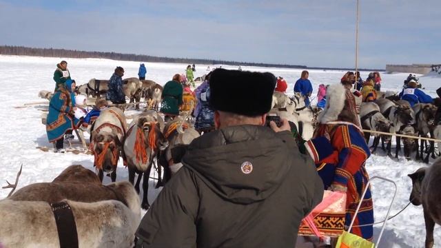 День оленевода в Тарко-Сале