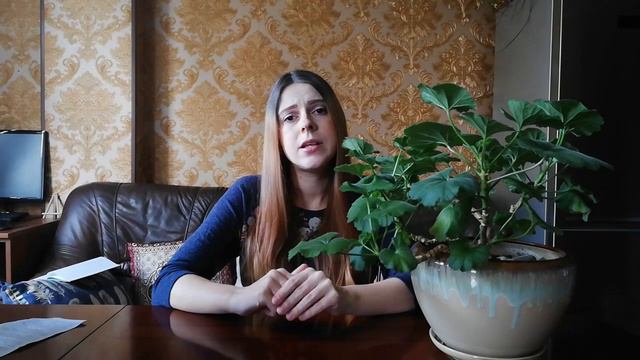 Geranie als Zimmerpflanze kultivieren | Pflanzenpflege 1x1
