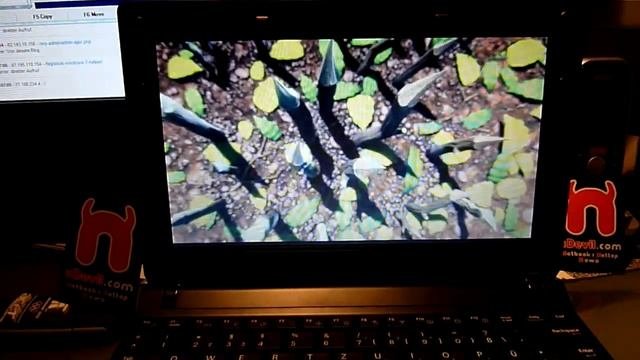 Samsung N350 Review - Multimedia Testing