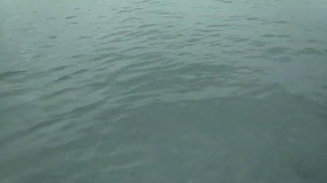 Таиланд. Пляж Танцующей девушки. Хвойные деревья и песок?