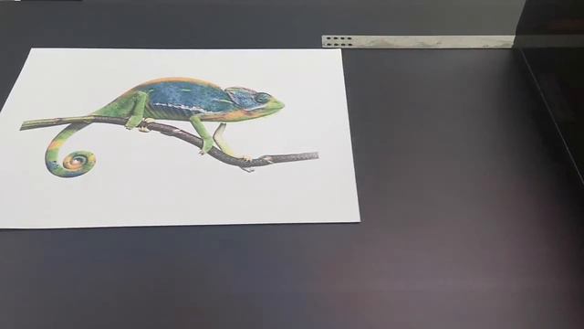 digital 4 color printing machine  with hp print head,color printing -CMYK