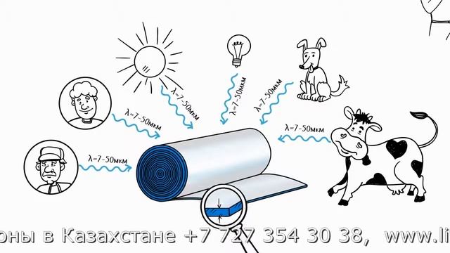 Пенофол