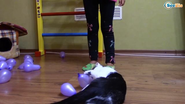 ВЛОГ Видео для детей Орбиз сюрпризы игрушки для Котенка - Ярослава и разноцветные шарики ORBEEZ