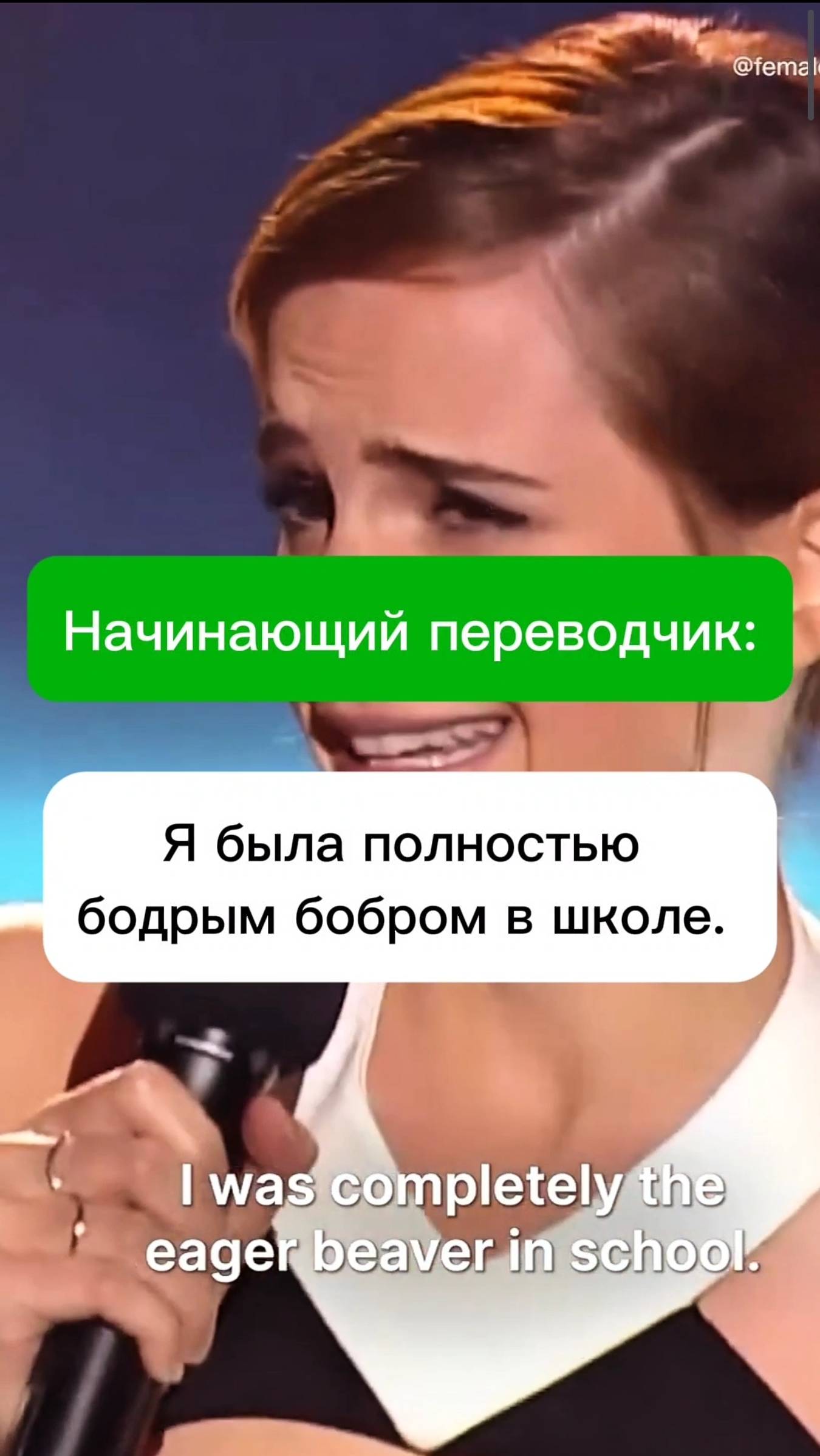 Практика перевода. Перевод идиом.