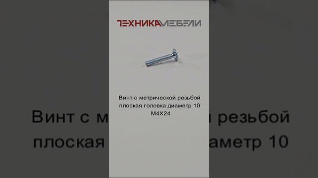 Винт с метрической резьбой плоская головка диаметр 10 М4Х24 шорт