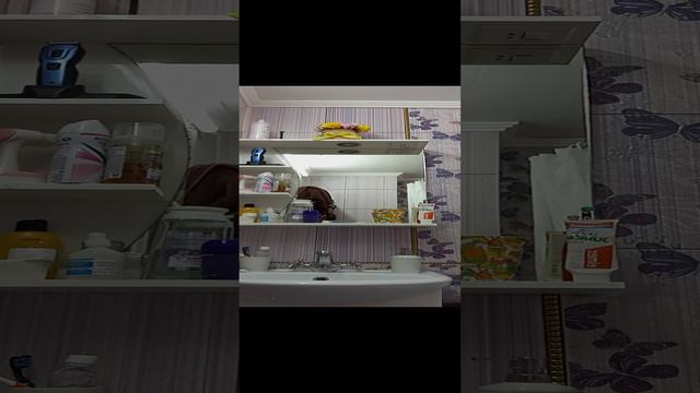 24часа в ваане