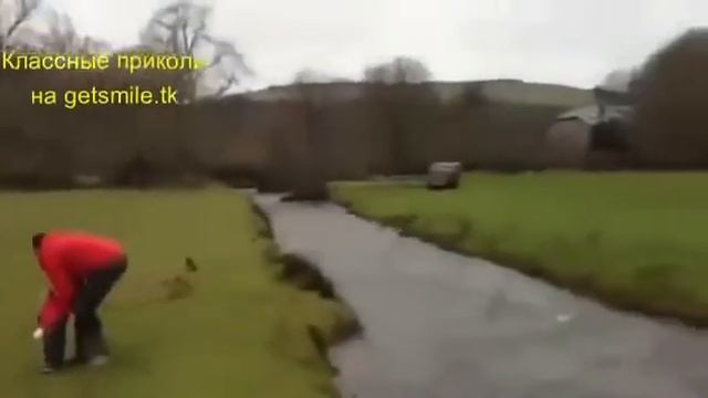 Маленькая собачка перепрыгивает через реку, бесплатные видео приколы про животных