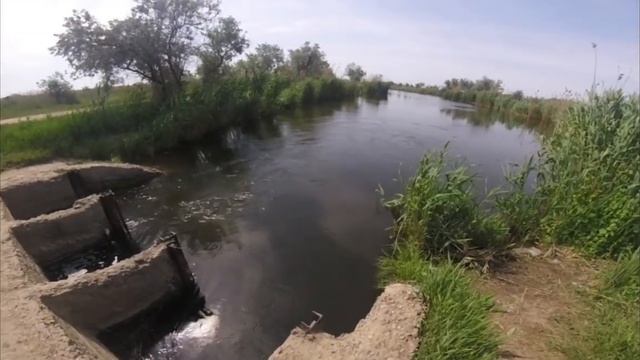 ВОСКРЕСЕНОВКА 2019