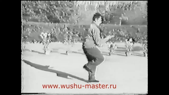 Тайцзи Фэн Чжицян  ушу тайцзицюань цигун   Feng Zhiquiangs Hunyuan Taiji qigong wushu tai chi