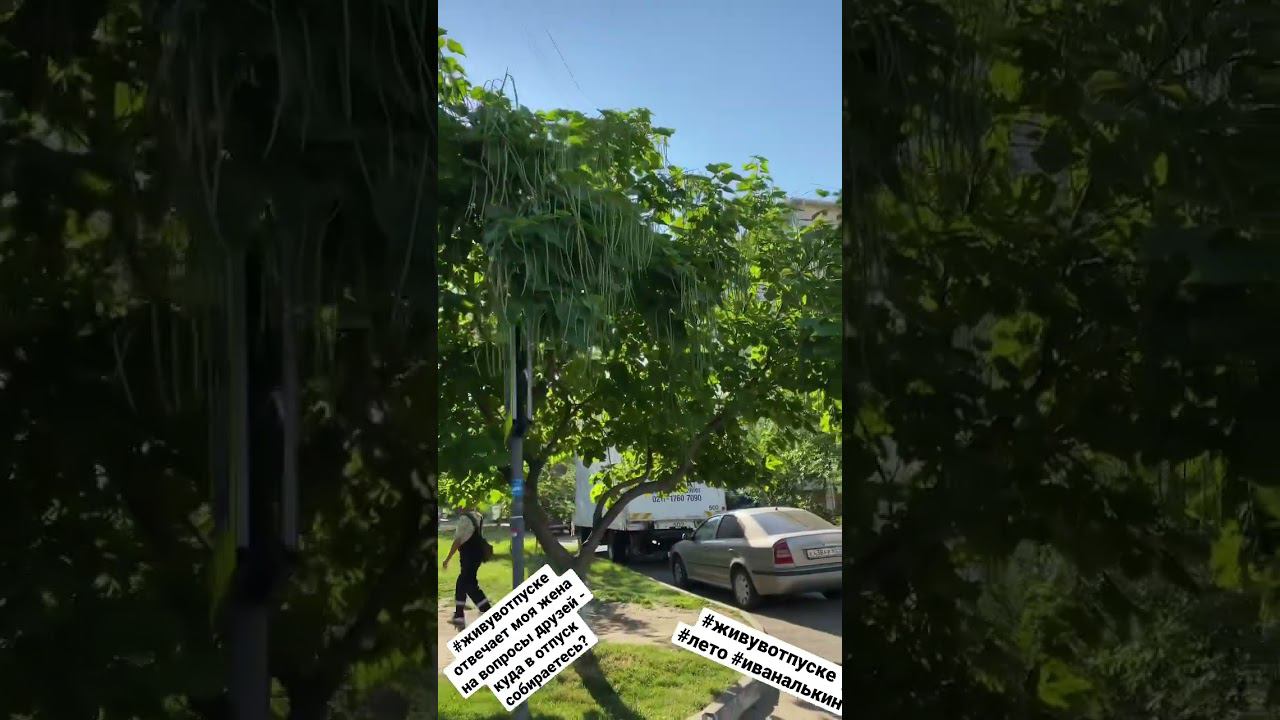 А ты хотел бы жить там, где всегда отпуск #живувотпуске #лето #краснодар #недвижимость #иваналькин