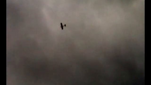 Цессна 150 RC, Cessna 150, RC, Kiev, Ukraine