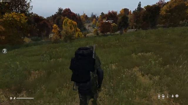 🔴 Психоз и бои гладиаторов | Стрим DayZ 1.18