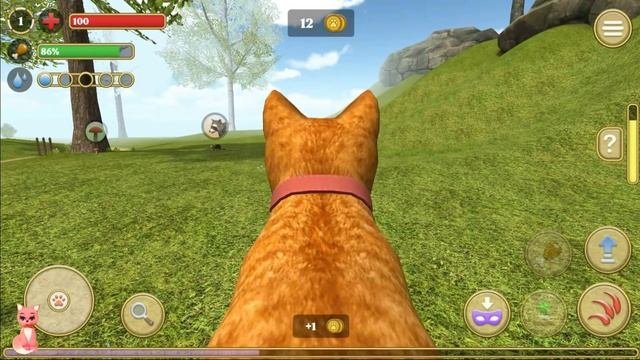 Симулятор кота и кошки ОБЗОРЧИК