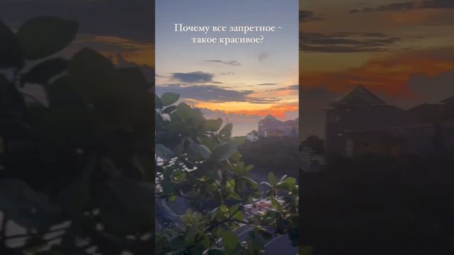 Евгений и Анастасия Ромашовы 14.11.2022