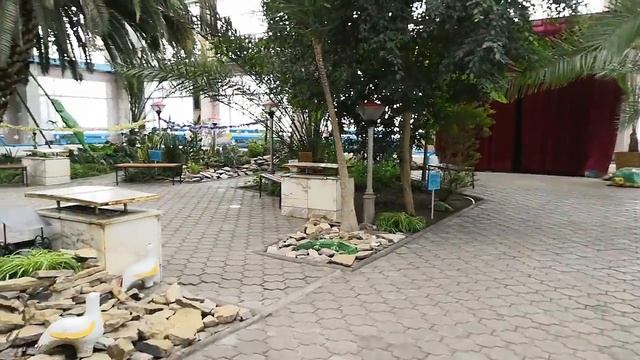 Зимний сад в Темиртау часть 3 прогулка по зимнему саду