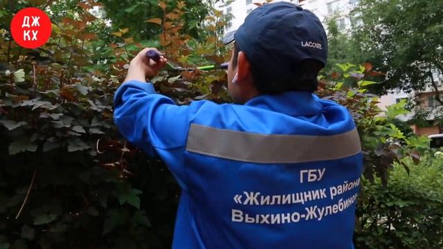 Украшаем двор