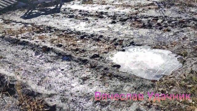 Обзор дачи вода сошла