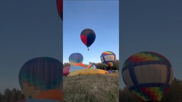 🎈фестиваль воздушных шаров