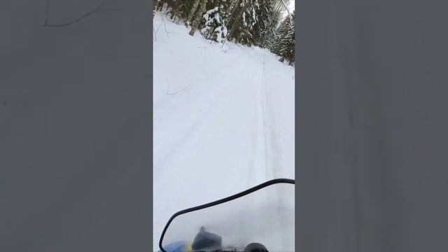 Снегоход. Эндуро Сталкер. Динамика на трассе. Полное видео смотрите на канале.