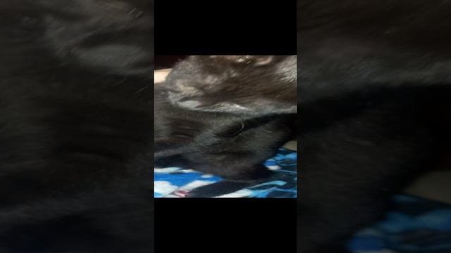 20231128_225729.mp4