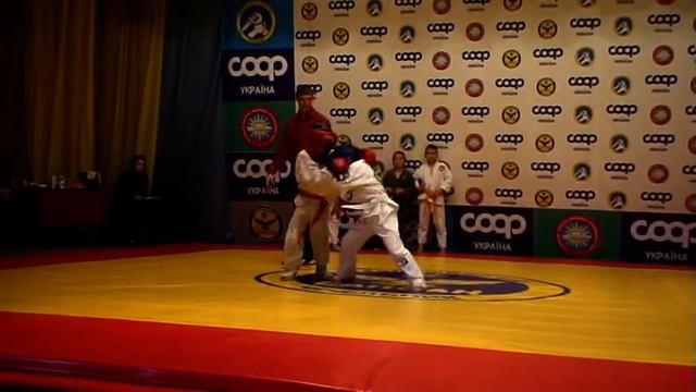 Сапсан 2017