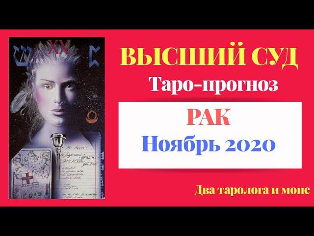 РАК. Ноябрь 2020 Высший Суд. Зависть окружающих может сбить с пути...