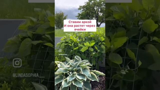 Аннабель не развалится