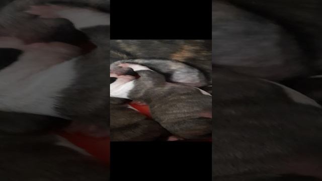 20231226_142154_1_1.mp4