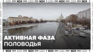 Активная фаза половодья стартовала в водоемах Москвы - Москва 24