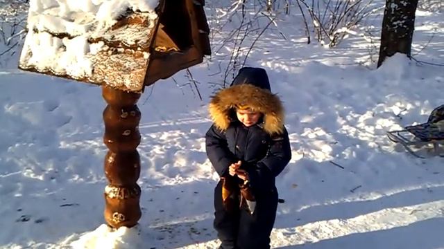Гули