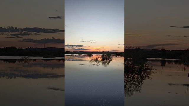 1000064119.mp4
