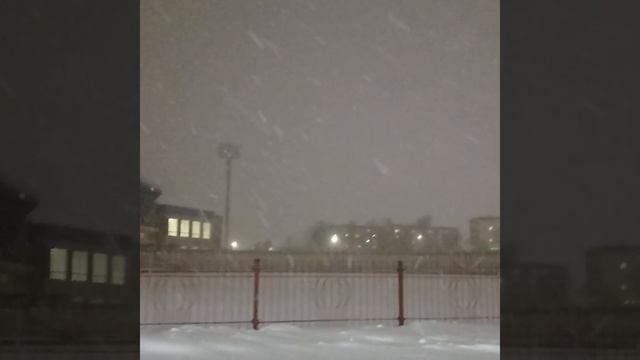 У нас опять снегопад / Беларусь / Гродно  / погода в Гродно /