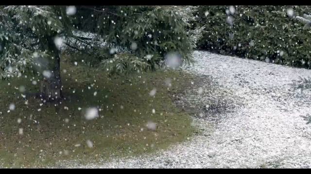 Швидкий сон під звуки хуртовини/A quick sleep to the sounds of a blizzard/在暴風雪的聲音中快速入睡
