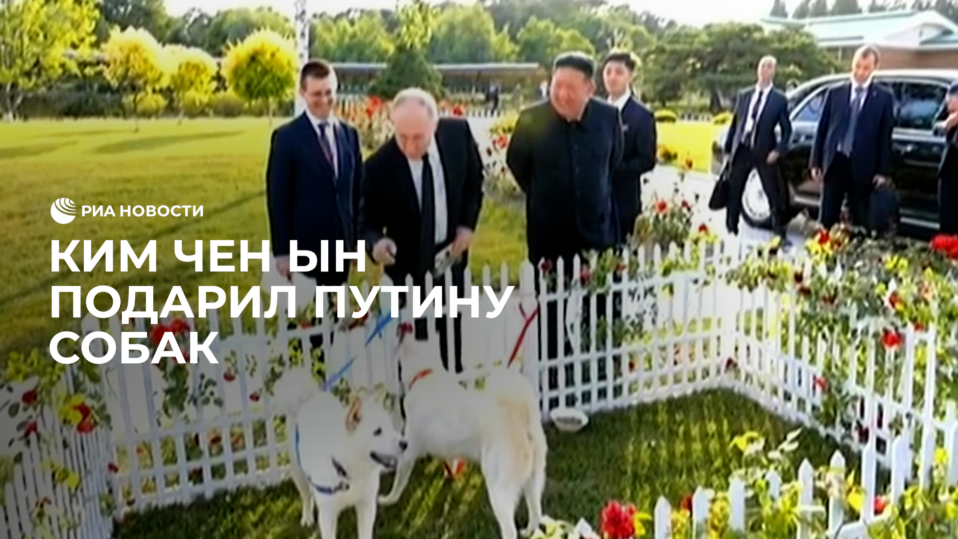 Ким Чен Ын подарил Путину собак
