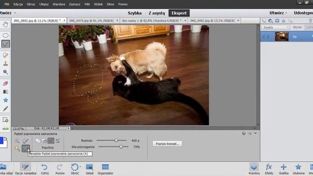 Photoshop Elements 13 PL  Zaznaczanie czyli jak wyciąć element z obrazu