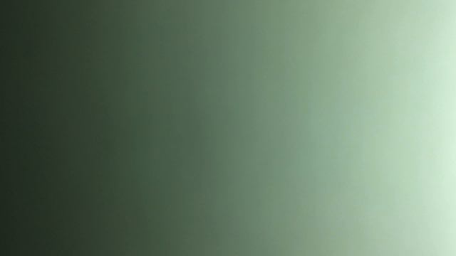 017