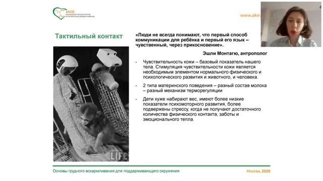 2020 09 23 курс мам Занятие 2  Физические потребности ребенка