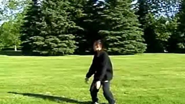 Tai Chi Qigong Shibashi  Free Chi Kung Video