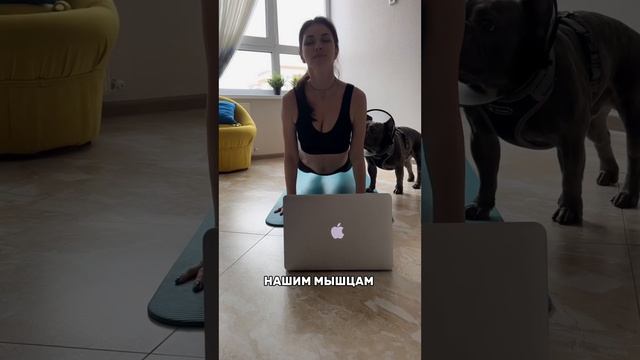 Йога дома.??♀️
