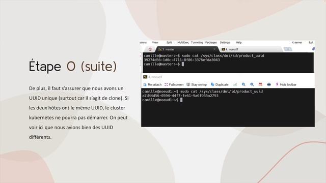 Démonstration d'un déploiement Kubernetes avec deux pods (Nginx et MongoDB)