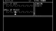 Wizardry Llylgamyn Saga (PLAYSTATION) Part 3
