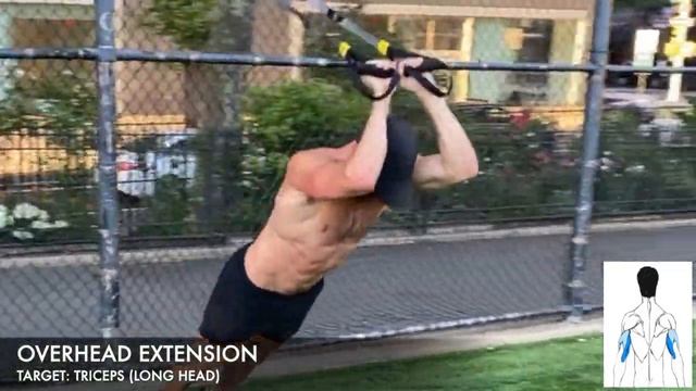 4 TRX / SUSPENSION TRAINER TRICEPS EXERCISES