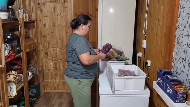 Что припасено к зиме/ Пришло время погрузиться в недра морозилок/ ОДНА В ДЕРЕВНЕ??♀️