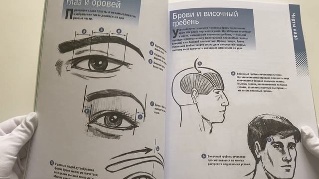 Учимся рисовать человеческие пропорции