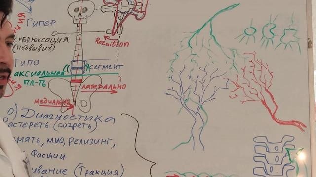 В чем смысл нашей ЛИМФАТИЧЕСКОЙ СИСТЕМЫ?