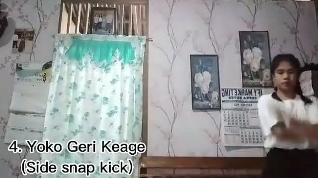6. BASIC SHOTOKAN KARATE KICKS