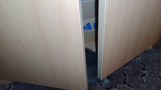 котёнок знакомится с домом