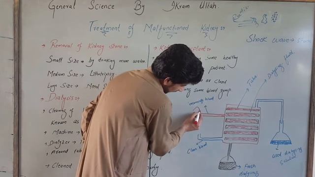 Treatment of Kidneys | General Science class 8th by IKRAMULLAH