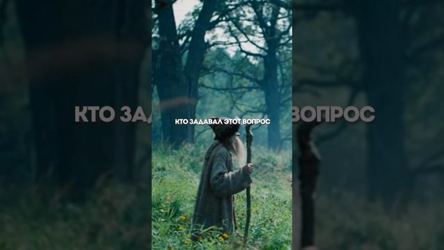 Кудыкина Гора в реальной жизни #shorts