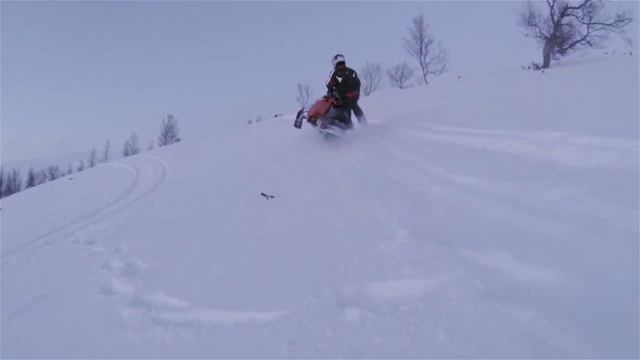 Lynx Rave 550| short edit